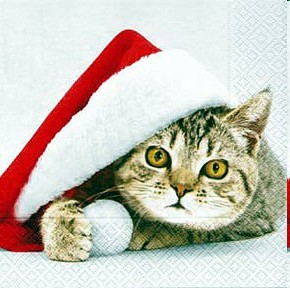 Weihnachtliche Tischservietten Santa cat