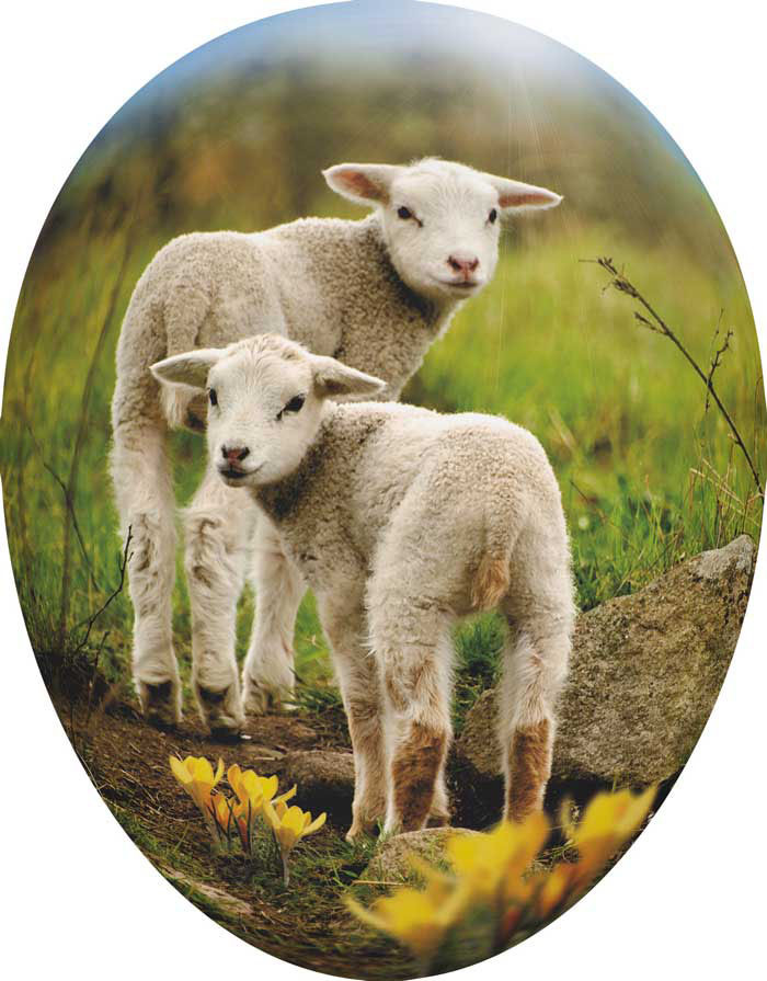Nestler Osterei Tierkinder - Lamm, 18 cm