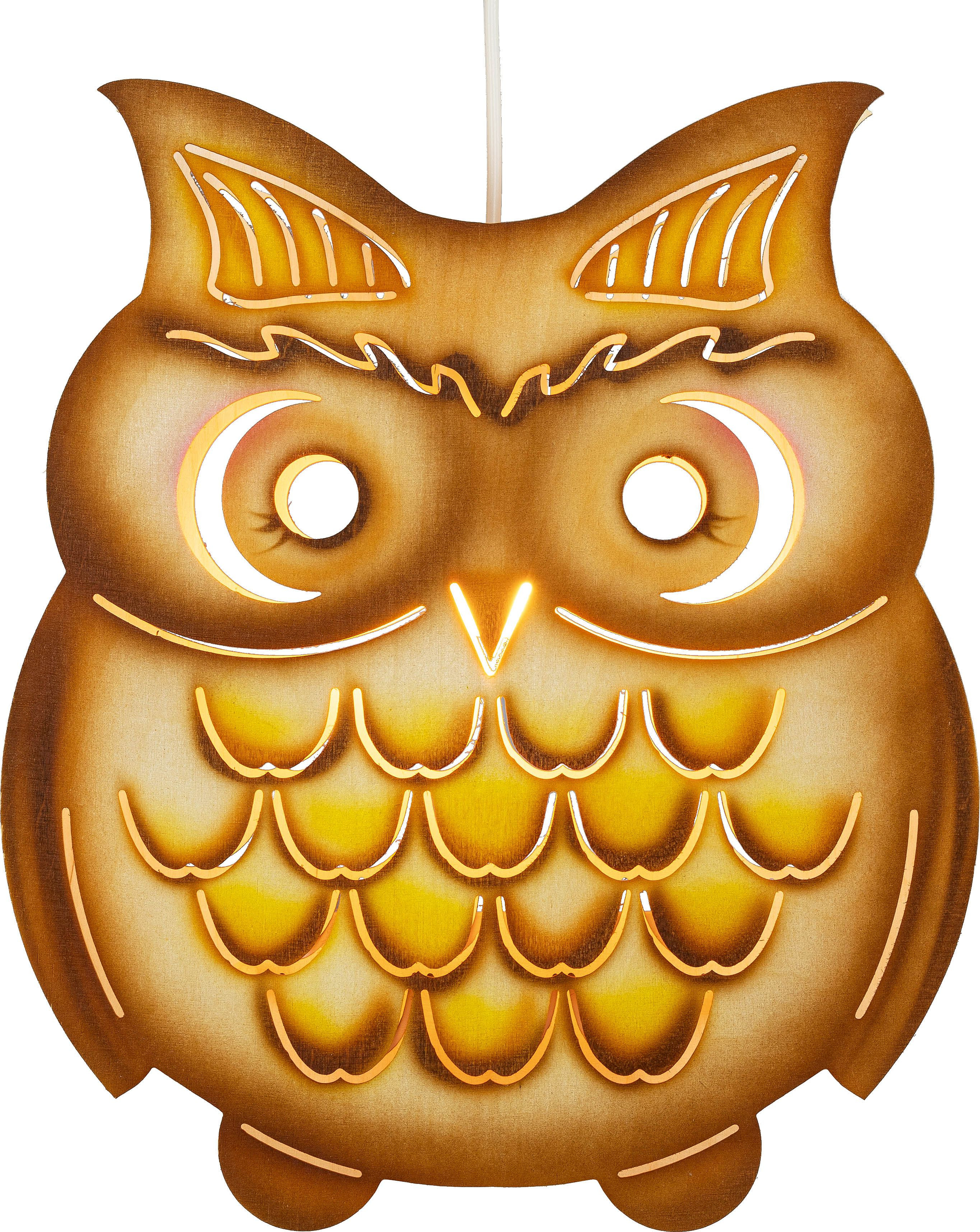 Taulin Beleuchtetes Fensterbild Eule - dick farbig