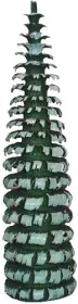 Ringelbaum ohne Stamm - grün/weiß, 12 cm