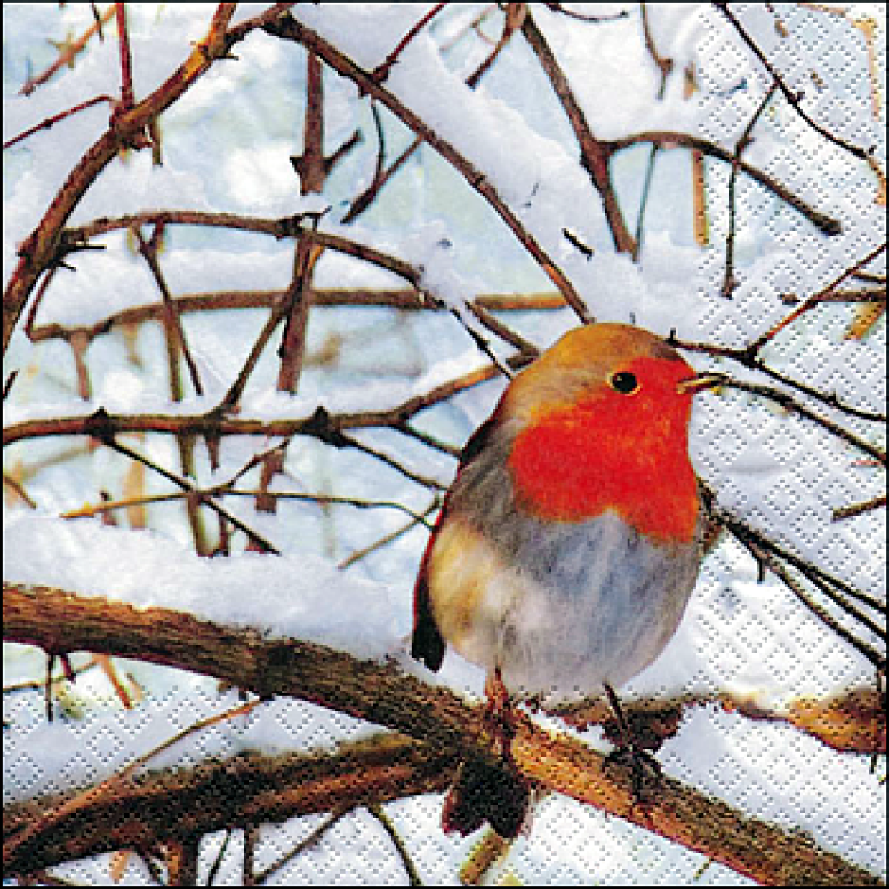Servietten Robin in a winter Tree