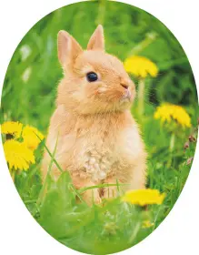 Nestler Osterei Tierkinder - Hase, 18 cm